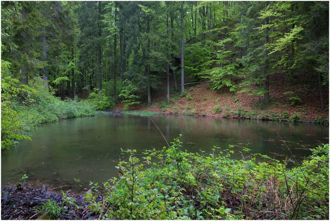 Gostel Koprivnik Pri Kocevju, Kocevski Rog Exteriér fotografie